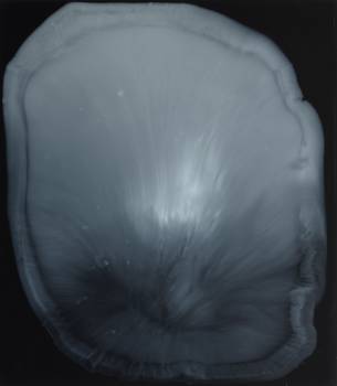 DAMMAR  2016, Dammar auf Plexi, 40 x 35 cm