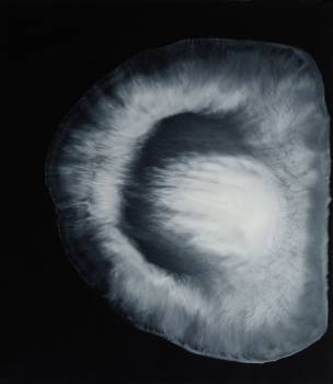 DAMMAR  2016, Dammar auf Plexi, 40 x 35 cm