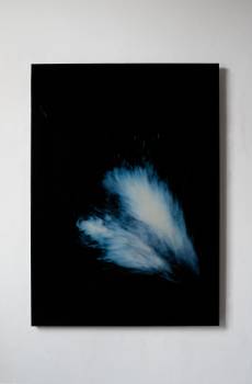 BESUCH  2017, Epoxidharz auf Plexi, 140 x 100  cm