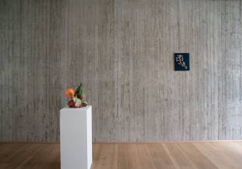 SET, Installation: KFG, Bonn, 2019