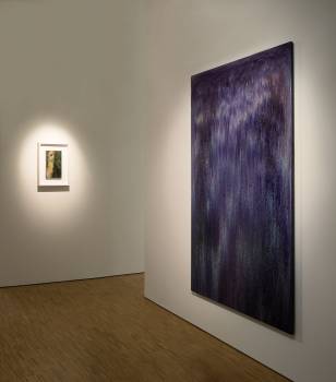 DAMMAR, Installation: Museum für Lackkunst, Münster, 2014