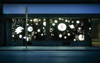 ULIVOGELKOSMOSSCHAUFENSTER, 2008, Lager Moskopp