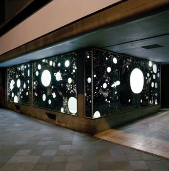 ULIVOGELKOSMOSSCHAUFENSTER, 2008, Lager Moskopp